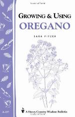Growing  Using Oregano