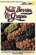 Nuts, berries & grapes
