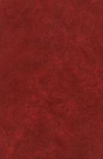 Historical Constitution of Bonaventure's Philosophy