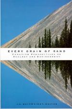 Every Grain of Sand