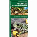 Handbook of Reptiles and Amphibians of Florida: Part Three The Amphibians