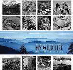 My Wild Life: A Memoir of Adventures within America&rsquo;s National Parks (Grover E. Murray Studies in the American Southwest)
