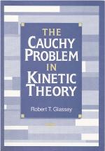 The Cauchy Problem in Kinetic Theory