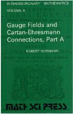 Gauge Fields and Cartan-Enresmann Connections
