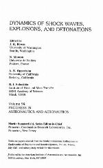Dynamics of Shock Waves, Explosions, and Detonations (Progress in Astronautics &amp; Aeronautics)