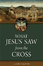 What Jesus Saw from the Cross