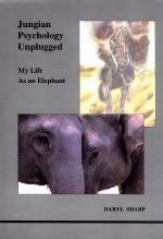 Jungian Psychology Unplugged