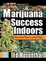 Marijuana Success Indoors