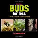 Marijuana Buds for Less