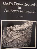 God's time-records in ancient sediments