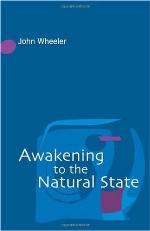 Awakening to the Natural State