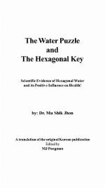 The Water Puzzle And The Hexagonal Key   Scientific Evidence Of Hexagonal Water And Its Positive Influence On Health!