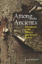 Among the Ancients