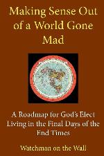 Making Sense Out of a World Gone Mad: A Roadmap for God's Elect Living in the Final Days of the End Times