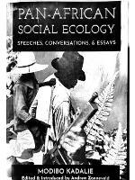 Pan-African Social Ecology