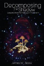 Decomposing the Shadow