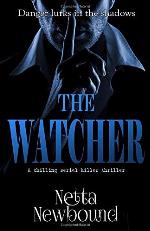 The Watcher: A terrifying psychological thriller