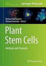 Plant Stem Cells