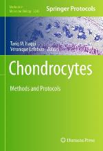 Chondrocytes