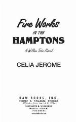 Fire works in the Hamptons : a Willow Tate novel