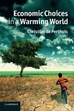 Economic Choices in a Warming World
