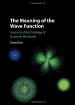 The Meaning of the Wave Function