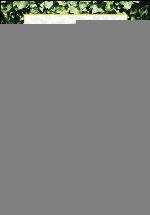 The Portable MBA in finance and accounting