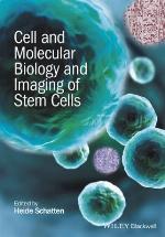 Cell and Molecular Biology and Imaging of Stem Cells