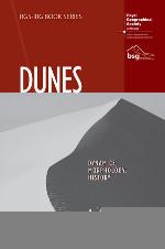 Dunes : dynamics, morphology, history