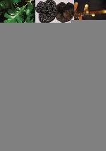 Biocomplexity of plant-fungal interactions