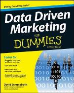 Data Driven Marketing for Dummies
