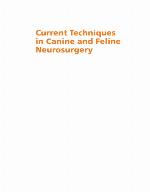Current Techniques in Canine and Feline Neurosurgery