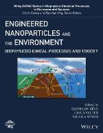 Engineered Nanoparticles and the Environment