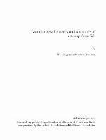 Morphology, phylogeny and taxonomy of osteolepiform fish