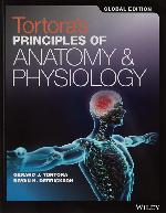 Principles of Anatomy and Physiology Set 15e Global Edition