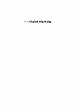 The Digital Big Bang