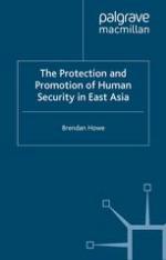 The protection and promotion of human security in East Asia
