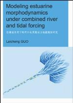 Modeling Estuarine Morphodynamics Under Combined River and Tidal Forcing