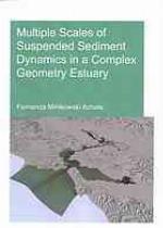 Multiple Scales of Suspended Sediment Dynamics in a Complex Geometry Estuary