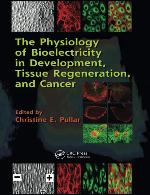 The Physiology of Bioelectricity in Development, Tissue Regeneration and Cancer