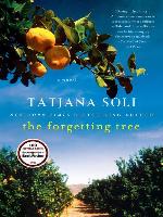 The Forgetting Tree