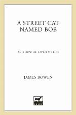 A Street Cat Named Bob