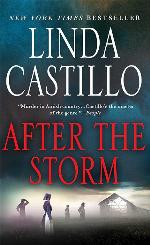 After the Storm: A Kate Burkholder Novel (Kate Burkholder, 7)