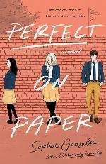 Perfect on Paper: A Novel