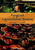 Fungi and Lignocellulosic Biomass