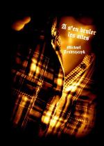 S'en bruler les ailes.