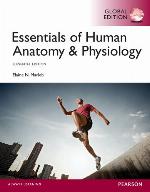Essentials of Human Anatomy &amp; Physiology, Global Edition