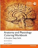 Anatomy and Physiology Coloring Workbook