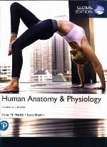 Human Anatomy &amp; Physiology