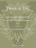 Down to this : squalor and splendour in a big-city shantytown